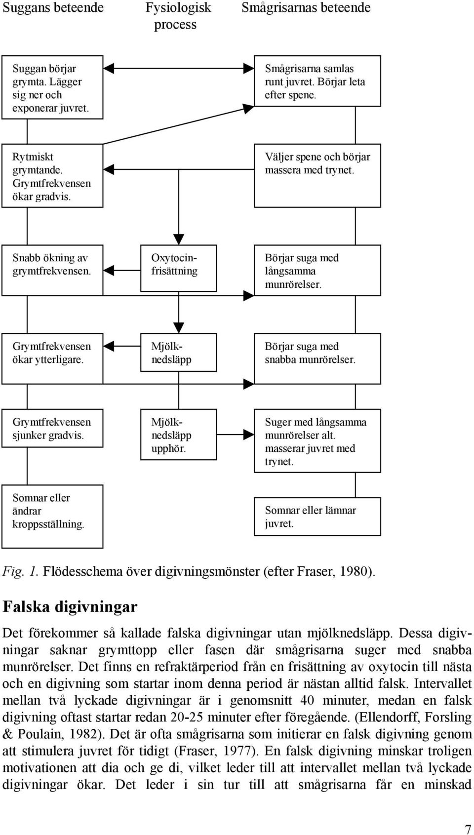 Mjölknedsläpp Börjar suga med snabba munrörelser. Grymtfrekvensen sjunker gradvis. Mjölknedsläpp upphör. Suger med långsamma munrörelser alt. masserar juvret med trynet.