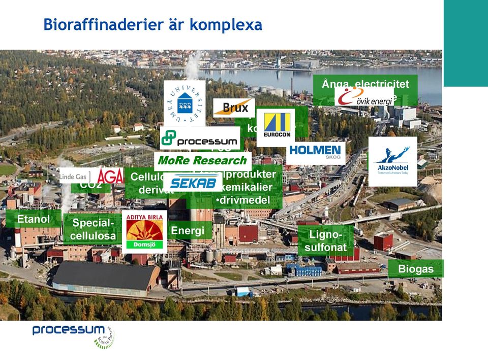 FoU Etanolprodukter kemikalier drivmedel Tallolja