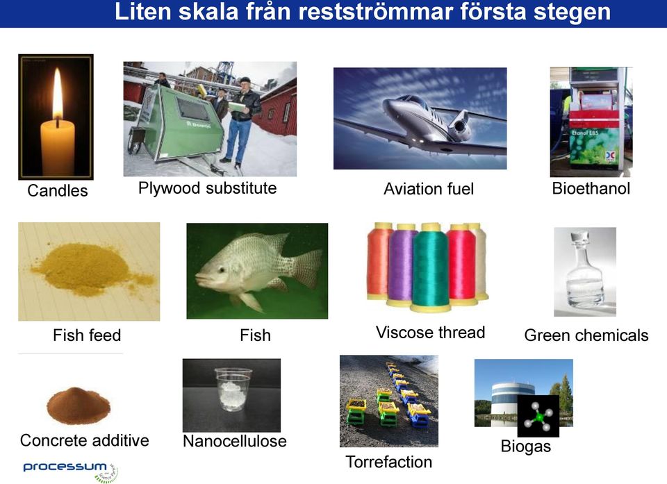 Bioethanol Fish feed Fish Viscose thread Green