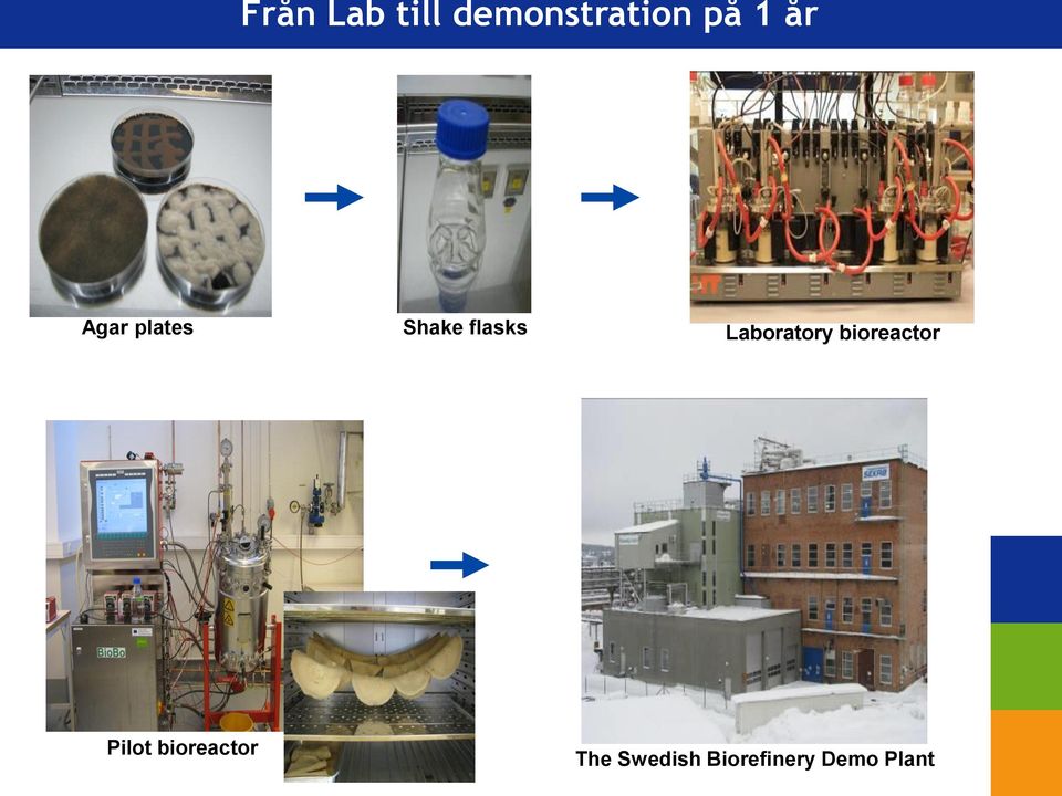 Laboratory bioreactor Pilot