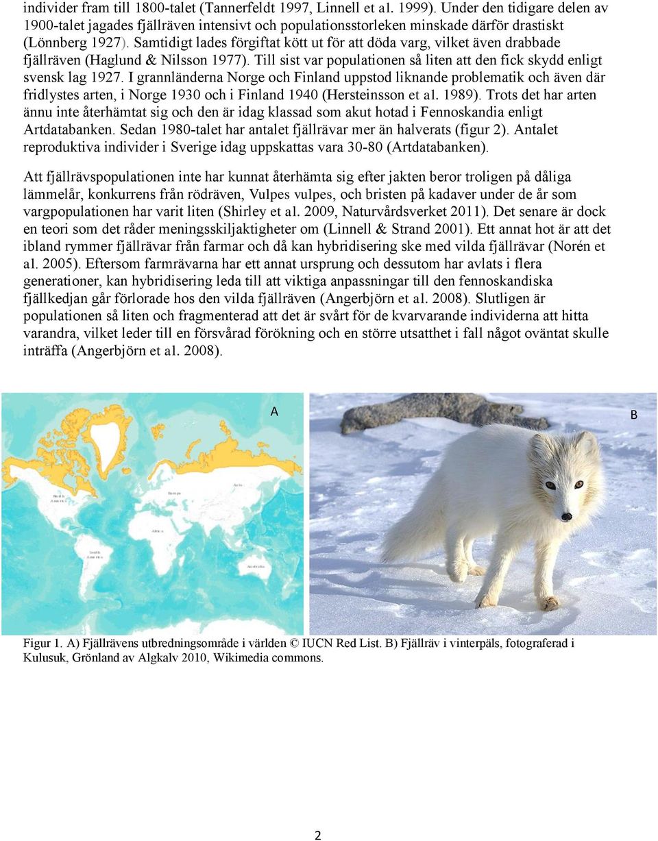 Samtidigt lades förgiftat kött ut för att döda varg, vilket även drabbade fjällräven (Haglund & Nilsson 1977). Till sist var populationen så liten att den fick skydd enligt svensk lag 1927.