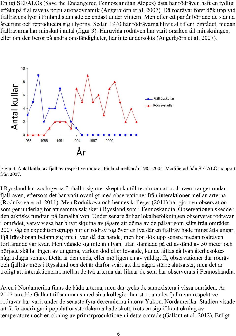 Sedan 1990 har rödrävarna blivit allt fler i området, medan fjällrävarna har minskat i antal (figur 3).