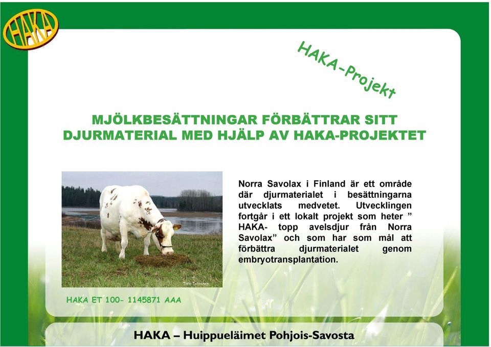 Utvecklingen fortgår i ett lokalt projekt som heter HAKA- topp avelsdjur från Norra Savolax
