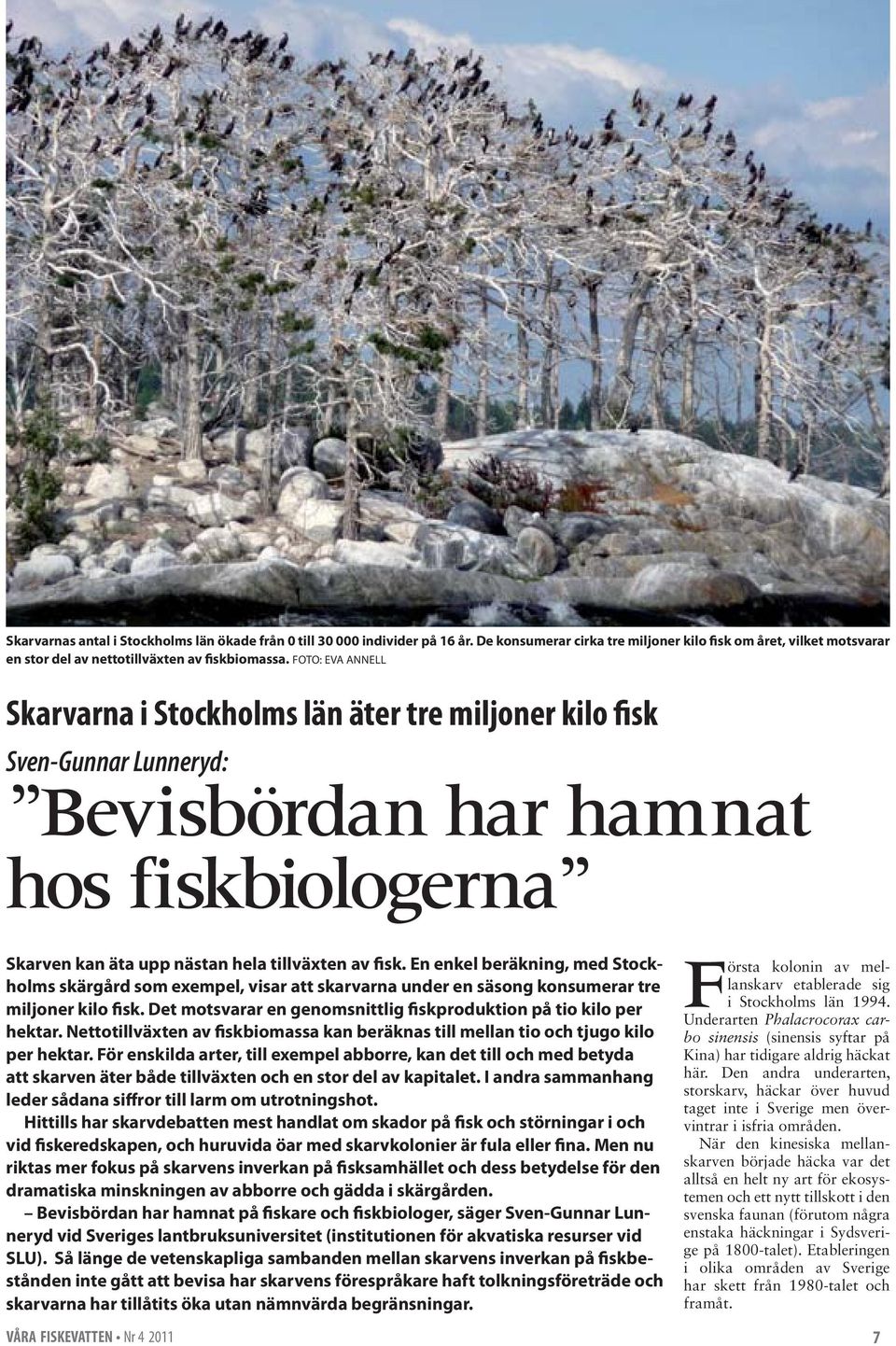 En enkel beräkning, med Stockholms skärgård som exempel, visar att skarvarna under en säsong konsumerar tre miljoner kilo fisk. Det motsvarar en genomsnittlig fiskproduktion på tio kilo per hektar.