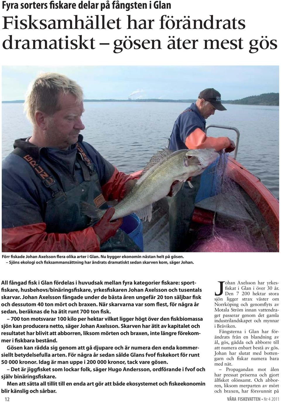 All fångad fisk i Glan fördelas i huvudsak mellan fyra kategorier fiskare: sportfiskare, husbehovs/binäringsfiskare, yrkesfiskaren Johan Axelsson och tusentals skarvar.