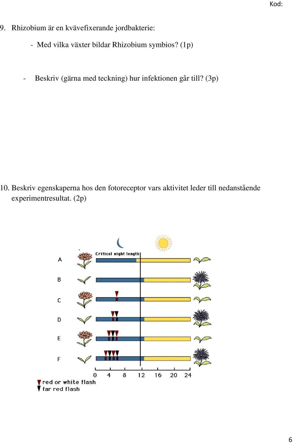 (1p) - Beskriv (gärna med teckning) hur infektionen går till?