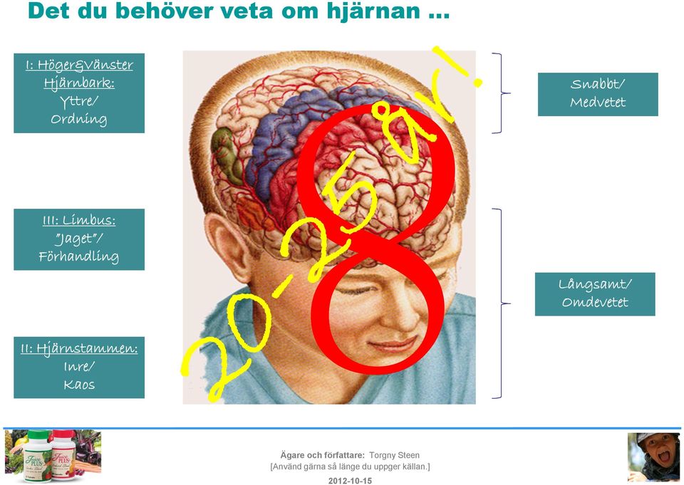 Snabbt/ Medvetet III: Limbus: Jaget /