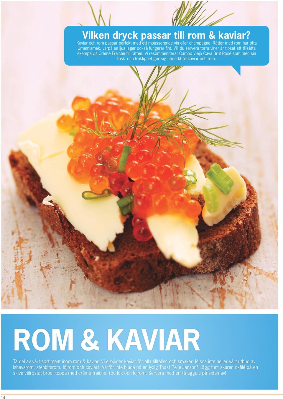 Vi rekommenderar Campo Viejo Cava Brut Rosé som med sin frisk- och fruktighet gör sig utmärkt till kaviar och rom. ROM & KAVIAR Ta del av vårt sortiment inom rom & kaviar.