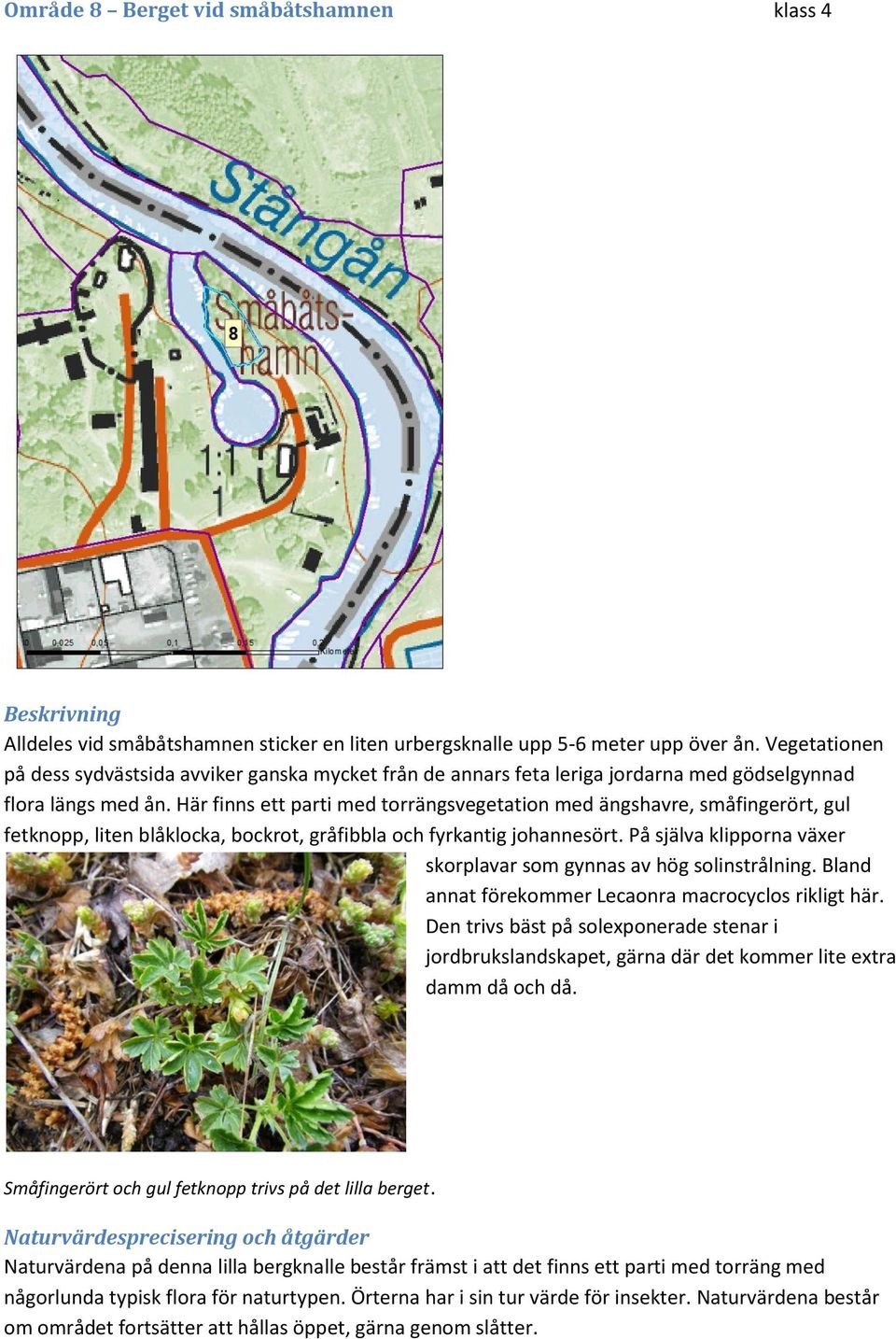 Här finns ett parti med torrängsvegetation med ängshavre, småfingerört, gul fetknopp, liten blåklocka, bockrot, gråfibbla och fyrkantig johannesört.