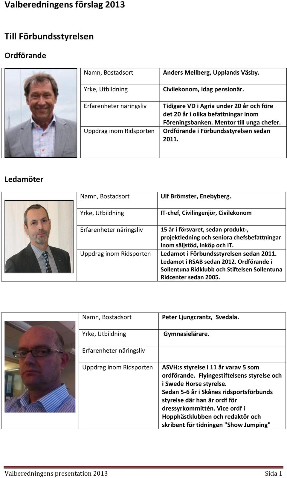 IT-chef, Civilingenjör, Civilekonom 15 år i försvaret, sedan produkt-, projektledning och seniora chefsbefattningar inom säljstöd, inköp och IT. Ledamot i Förbundsstyrelsen sedan 2011.