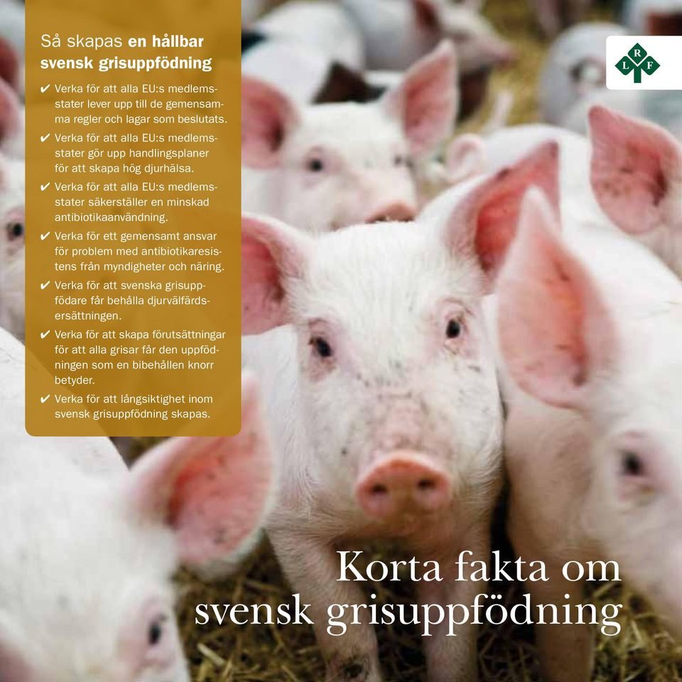 Verka för ett gemensamt ansvar för problem med antibiotikaresistens från myndigheter och näring. Verka för att svenska grisuppfödare får behålla djurvälfärdsersättningen.