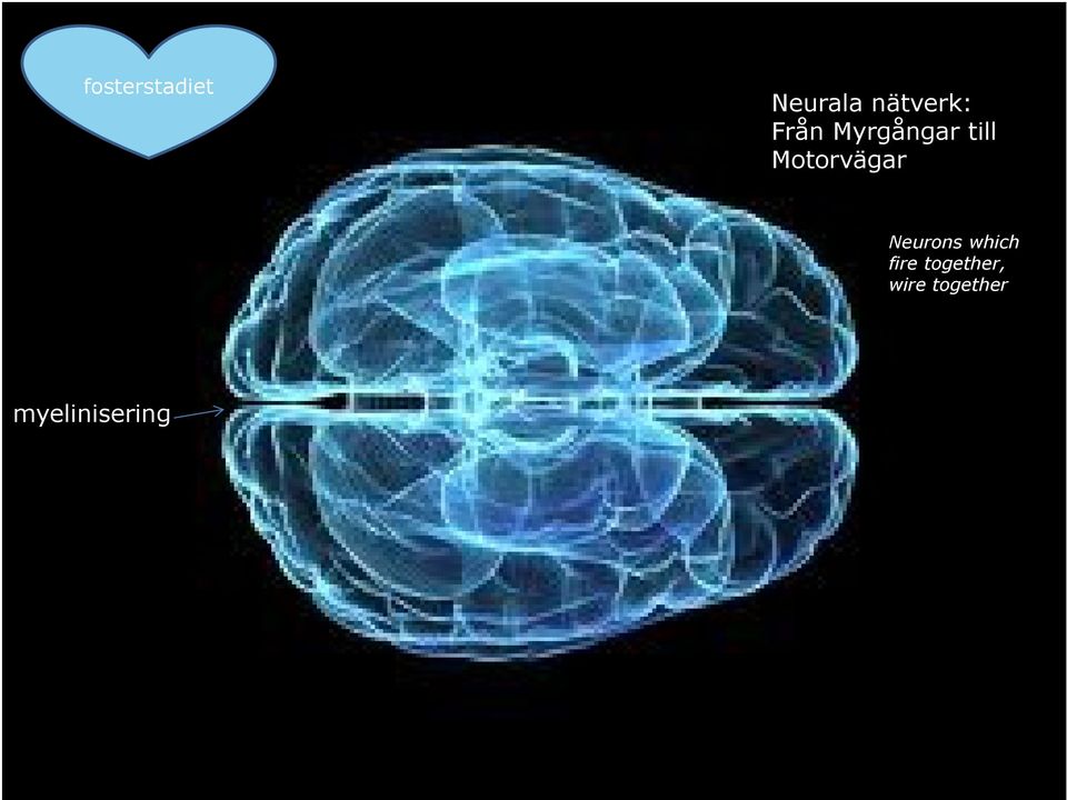 Motorvägar Neurons which fire