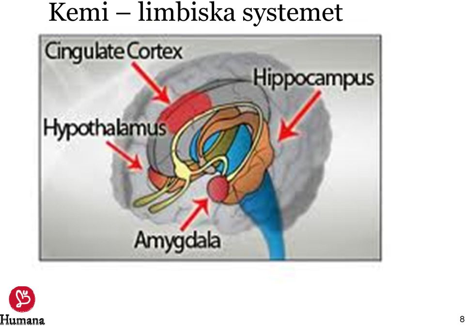 systemet
