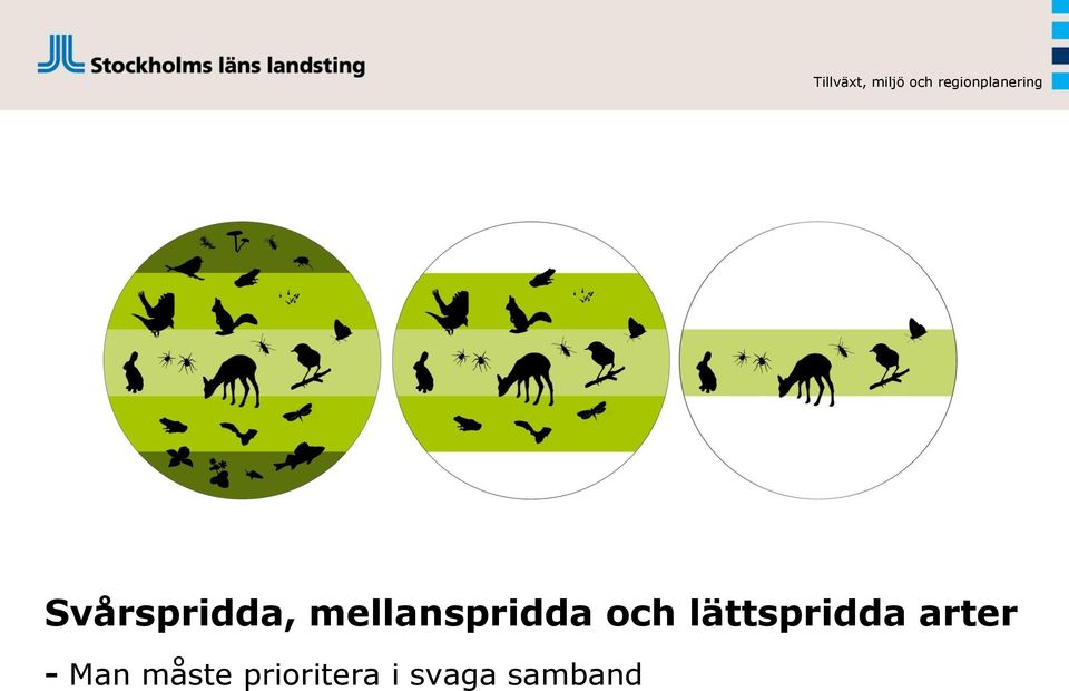 lättspridda arter -