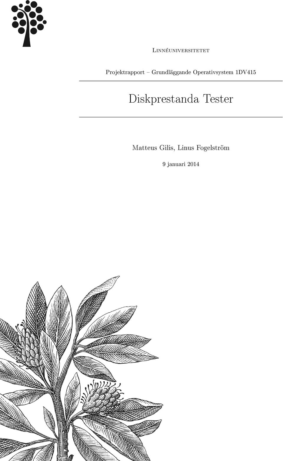 1DV415 Diskprestanda Tester