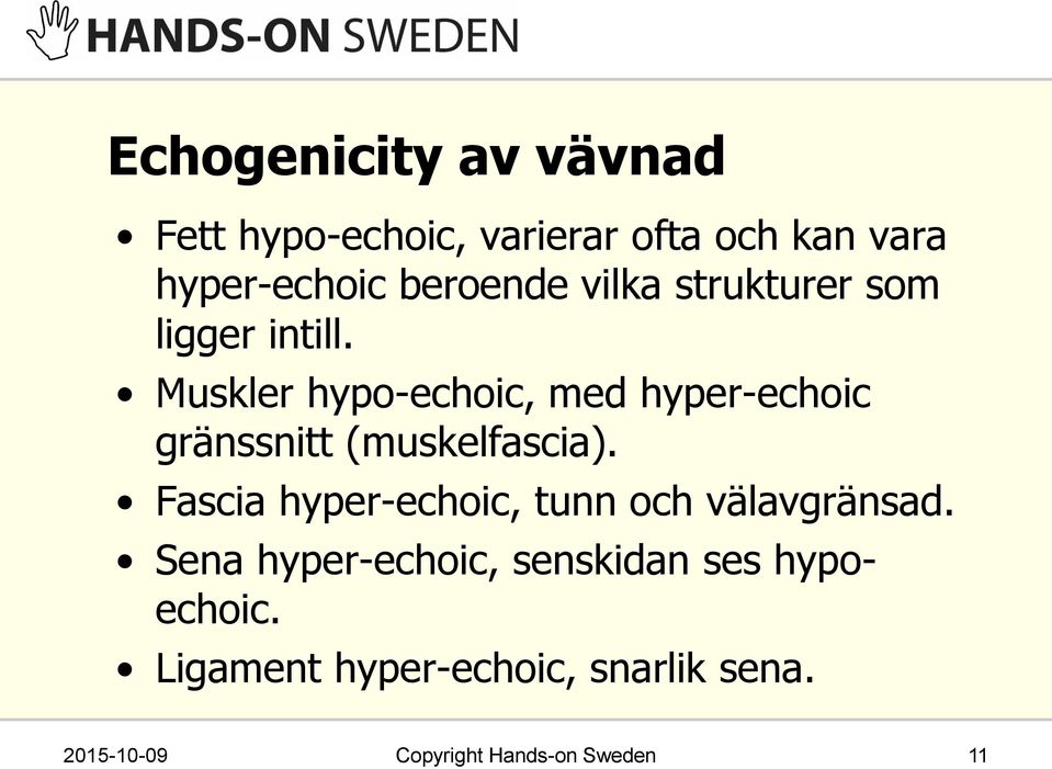 Muskler hypo-echoic, med hyper-echoic gränssnitt (muskelfascia).