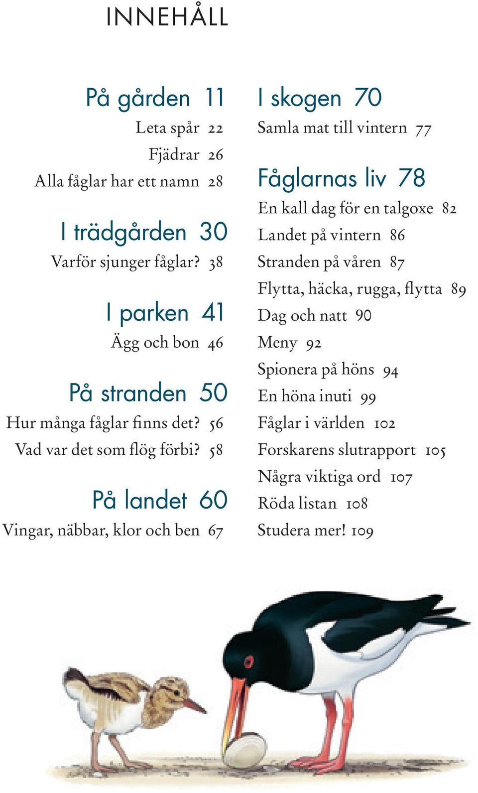 58 På landet 60 Vingar, näbbar, klor och ben 67 I skogen 70 Samla mat till vintern 77 Fåglarnas liv 78 En kall dag för en talgoxe 82 Landet på