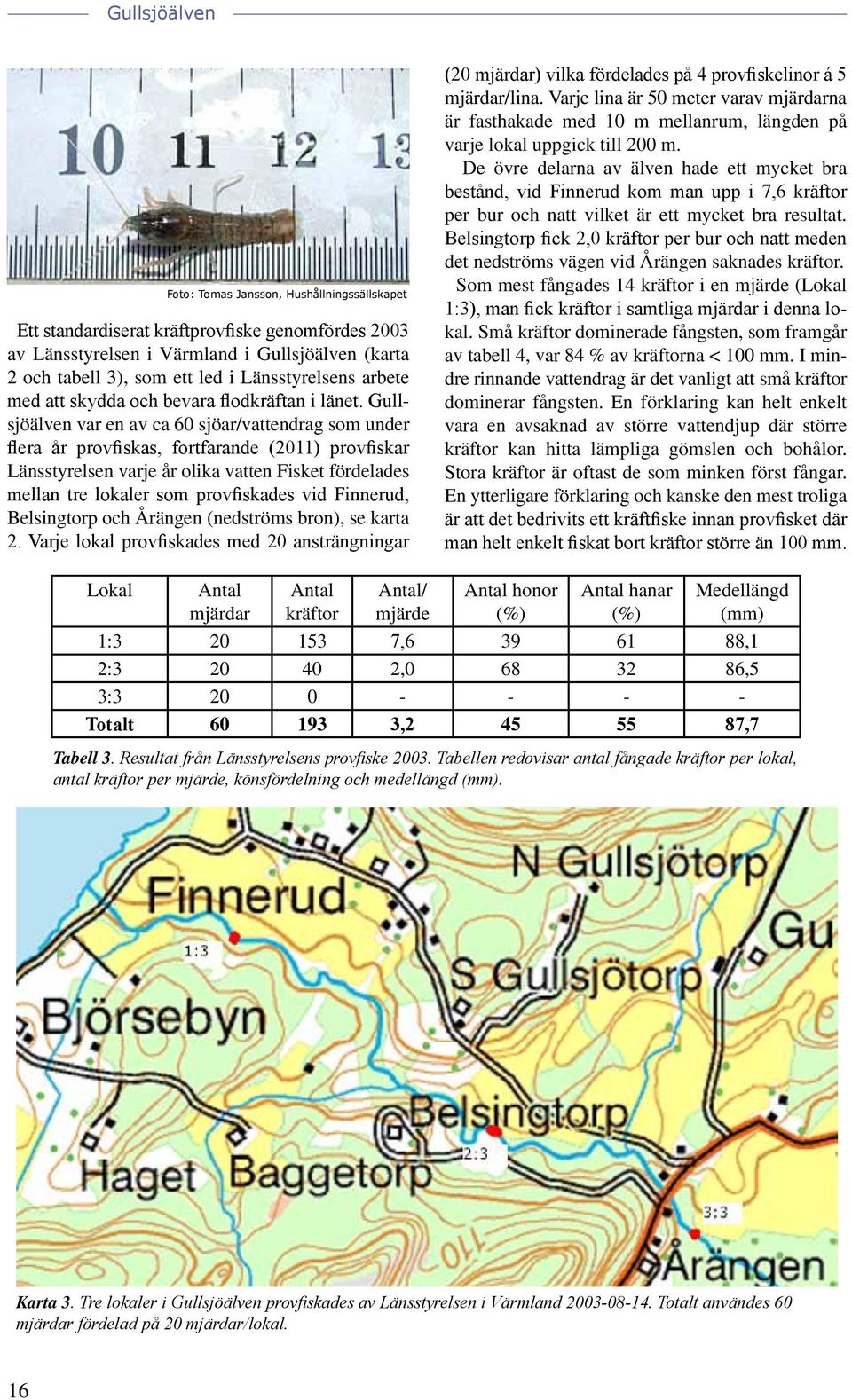 vid Finnerud, Belsingtorp och Årängen (nedströms bron), se karta 2. Varje lokal provfiskades med 20 ansträngningar (20 mjärdar) vilka fördelades på 4 provfiskelinor á 5 mjärdar/lina.