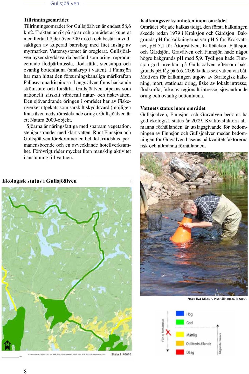 I Finnsjön har man hittat den försurningskänsliga märlkräftan Pallasea quadrispinosa. Längs älven finns häckande strömstare och forsärla.