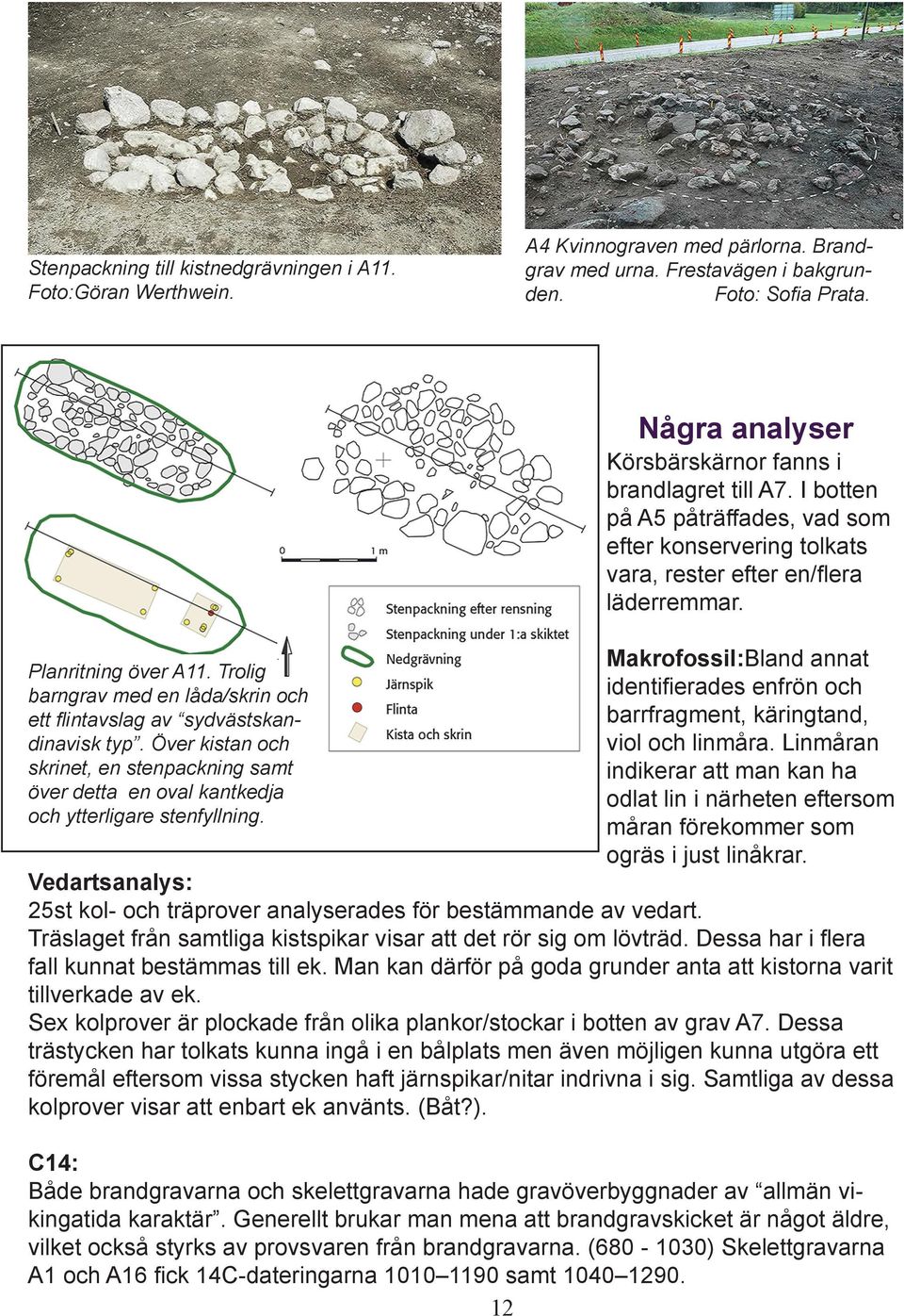 Några analyser Körsbärskärnor fanns i brandlagret till A7. I botten på A5 påträffades, vad som efter konservering tolkats vara, rester efter en/flera läderremmar.