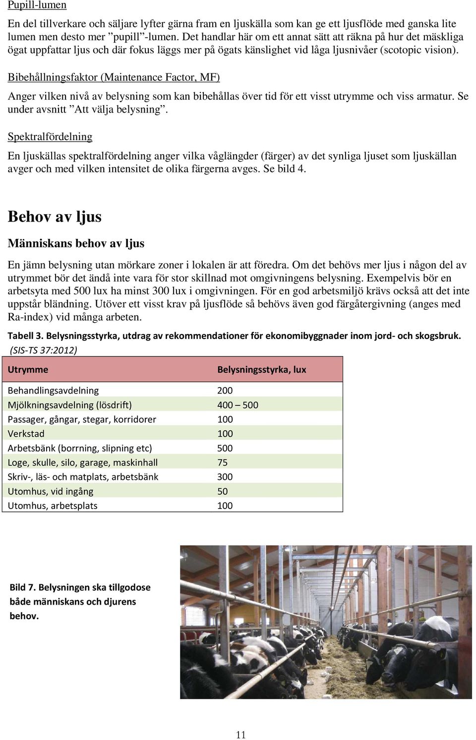 Bibehållningsfaktor (Maintenance Factor, MF) Anger vilken nivå av belysning som kan bibehållas över tid för ett visst utrymme och viss armatur. Se under avsnitt Att välja belysning.