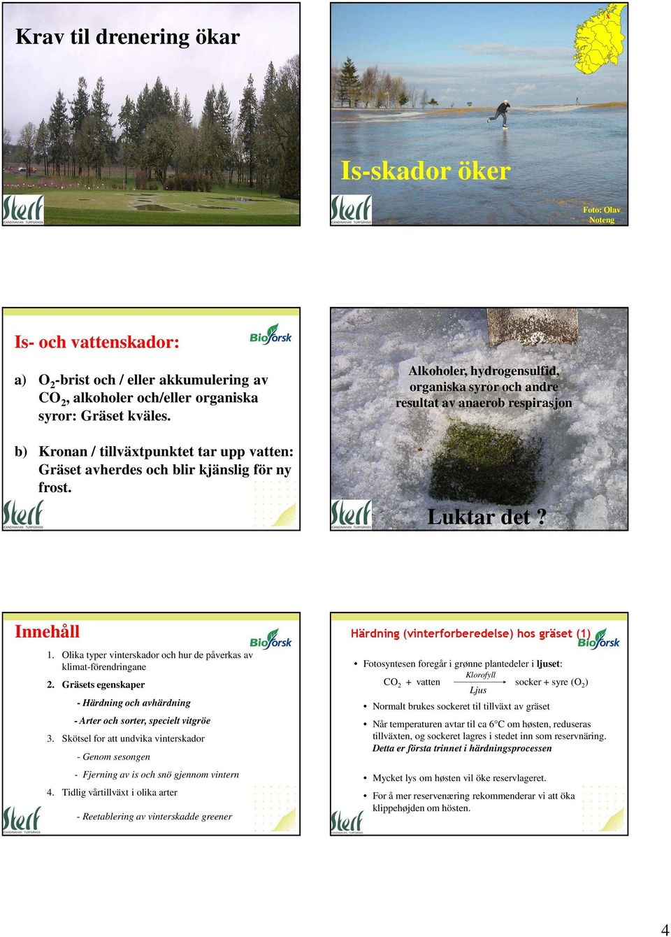 Olika typer vinterskador och hur de påverkas av klimat-förendringane 2. Gräsets egenskaper - Härdning och avhärdning - Arter och sorter, specielt vitgröe 3.