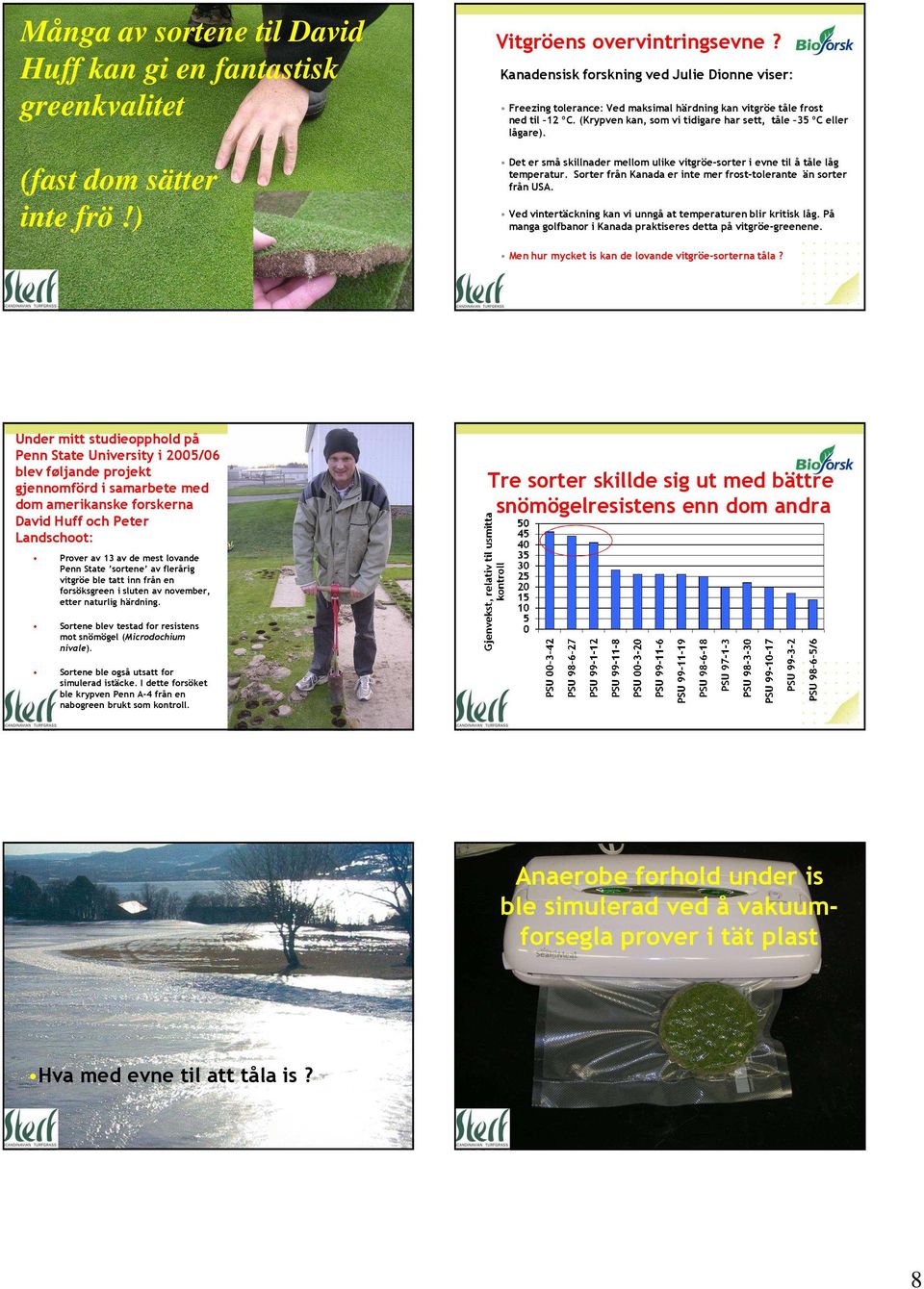 Det er små skillnader mellom ulike vitgröe-sorter i evne til å tåle låg temperatur. Sorter från Kanada er inte mer frost-tolerante än sorter från USA.