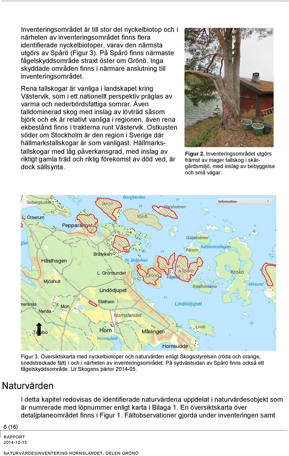 Rena tallskogar är vanliga i landskapet kring Västervik, som i ett nationellt perspektiv präglas av varma och nederbördsfattiga somrar.