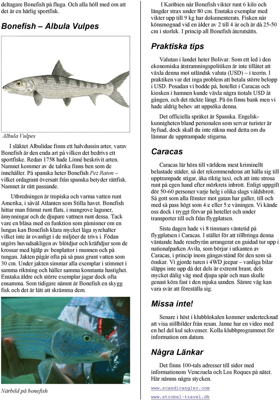 Praktiska tips Albula Vulpes I släktet Albulidae finns ett halvdussin arter, varav Bonefish är den enda art på vilken det bedrivs ett sportfiske. Redan 1758 hade Linné beskrivit arten.