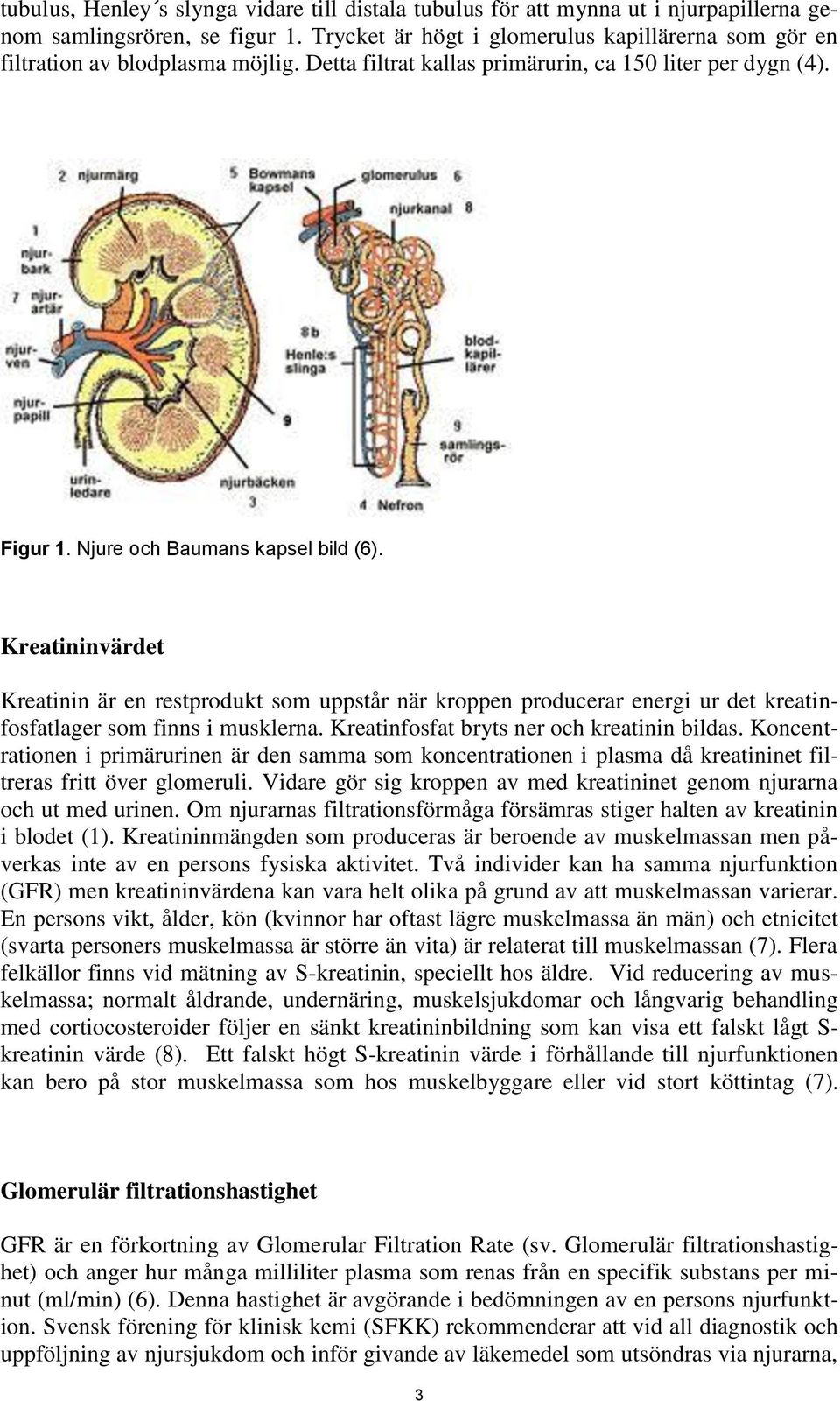 Kreatininvärdet Kreatinin är en restprodukt som uppstår när kroppen producerar energi ur det kreatinfosfatlager som finns i musklerna. Kreatinfosfat bryts ner och kreatinin bildas.