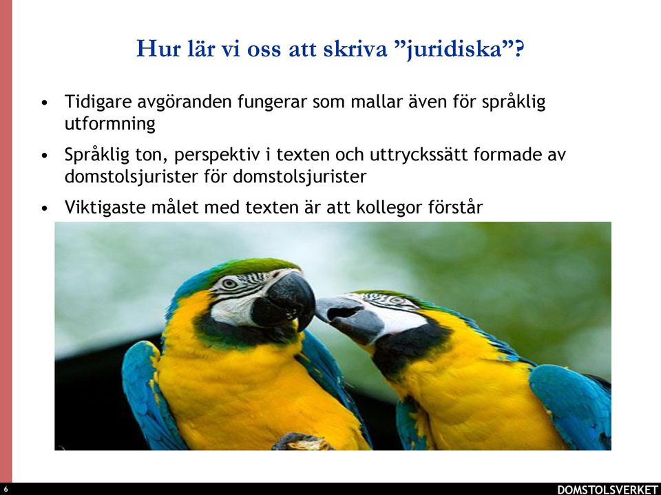 Språklig ton, perspektiv i texten och uttryckssätt formade av