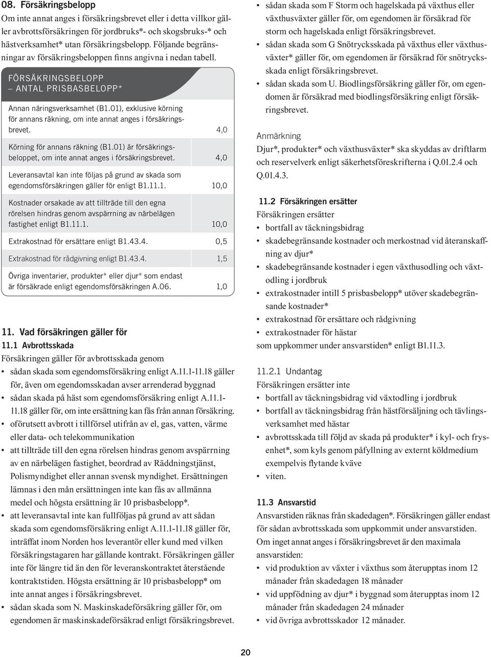 01), exklusive körning för annans räkning, om inte annat anges i försäkringsbrevet. 4,0 Körning för annans räkning (B1.01) är försäkringsbeloppet, om inte annat anges i försäkringsbrevet.