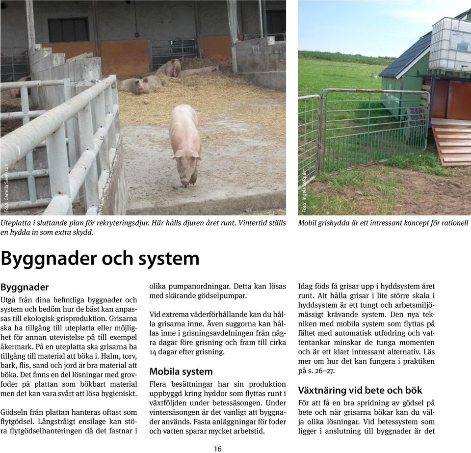 Grisarna ska ha tillgång till uteplatta eller möjlighet för annan utevistelse på till exempel åkermark. På en uteplatta ska grisarna ha tillgång till material att böka i.