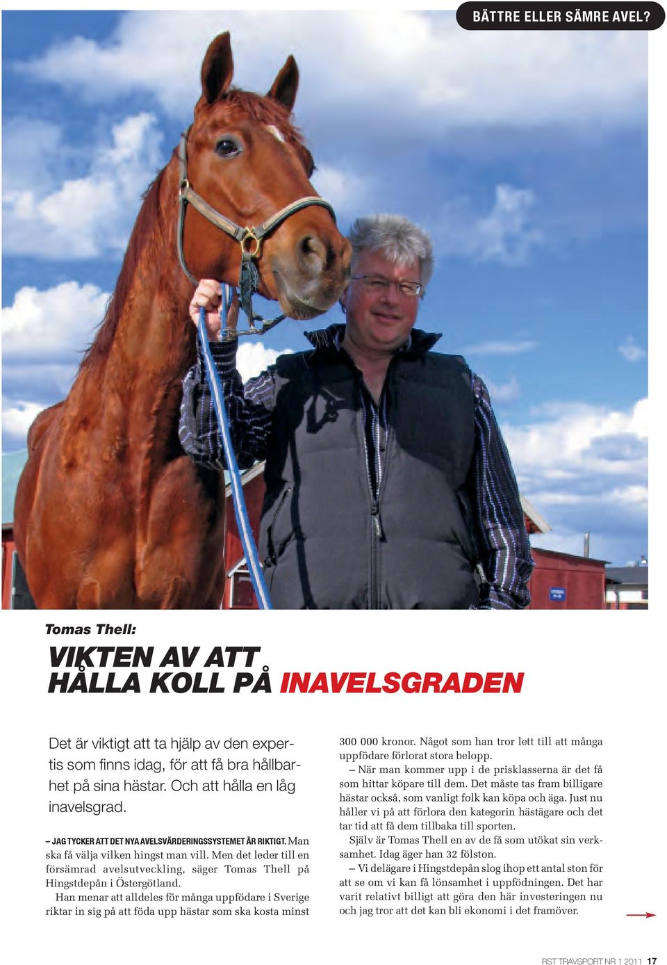 Jag tycker att Det nya avelsvärderingssystemet är riktigt. Man ska få välja vilken hingst man vill. Men det leder till en försämrad avelsutveckling, säger Tomas Thell på Hingstdepån i Östergötland.