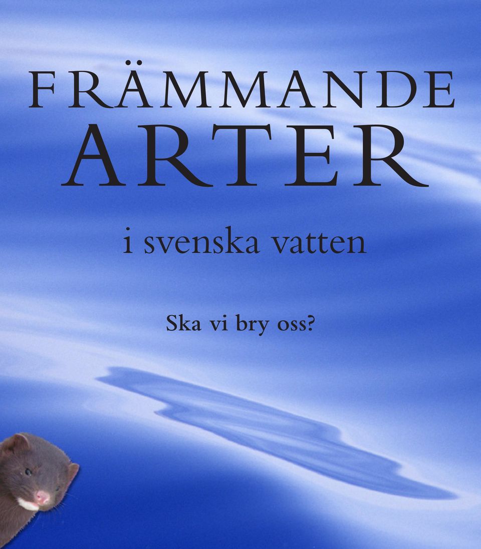 svenska