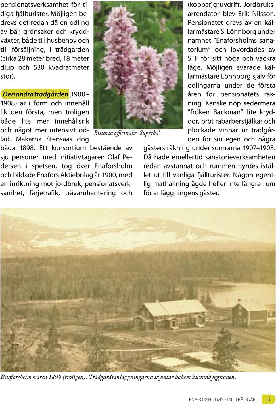 Den andra trädgården (1900 1908) är i form och innehåll lik den första, men troligen både lite mer innehållsrik och något mer intensivt odlad. Makarna Stensaas dog båda 1898.