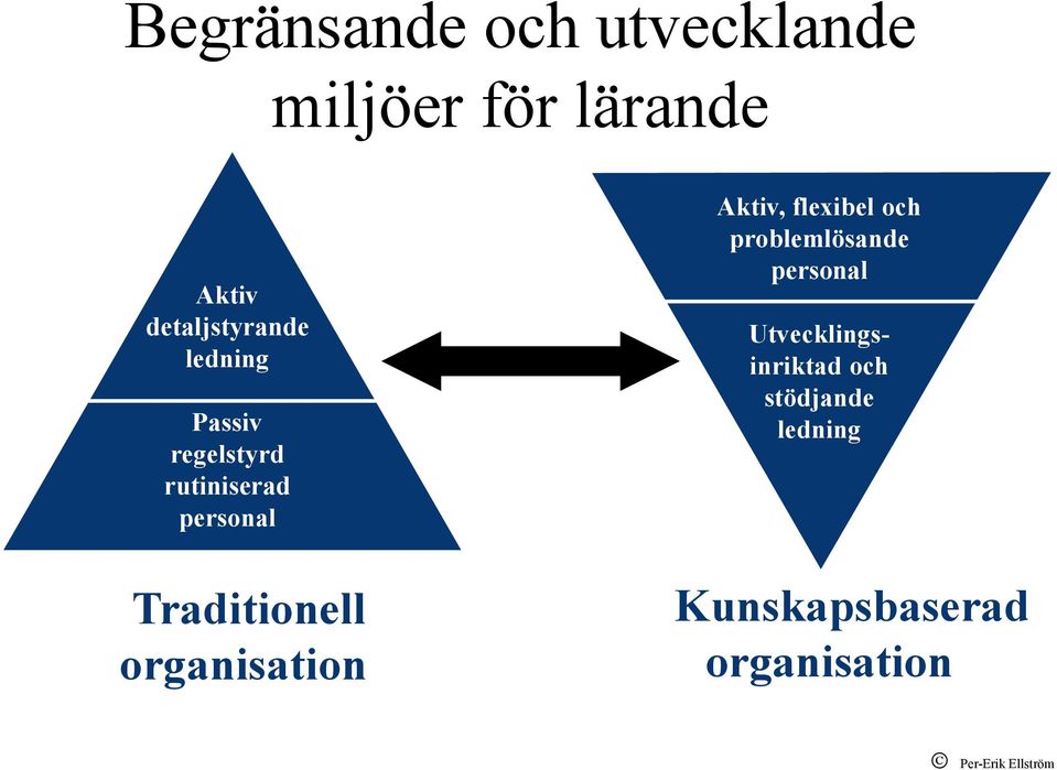 organisation Aktiv, flexibel och problemlösande personal