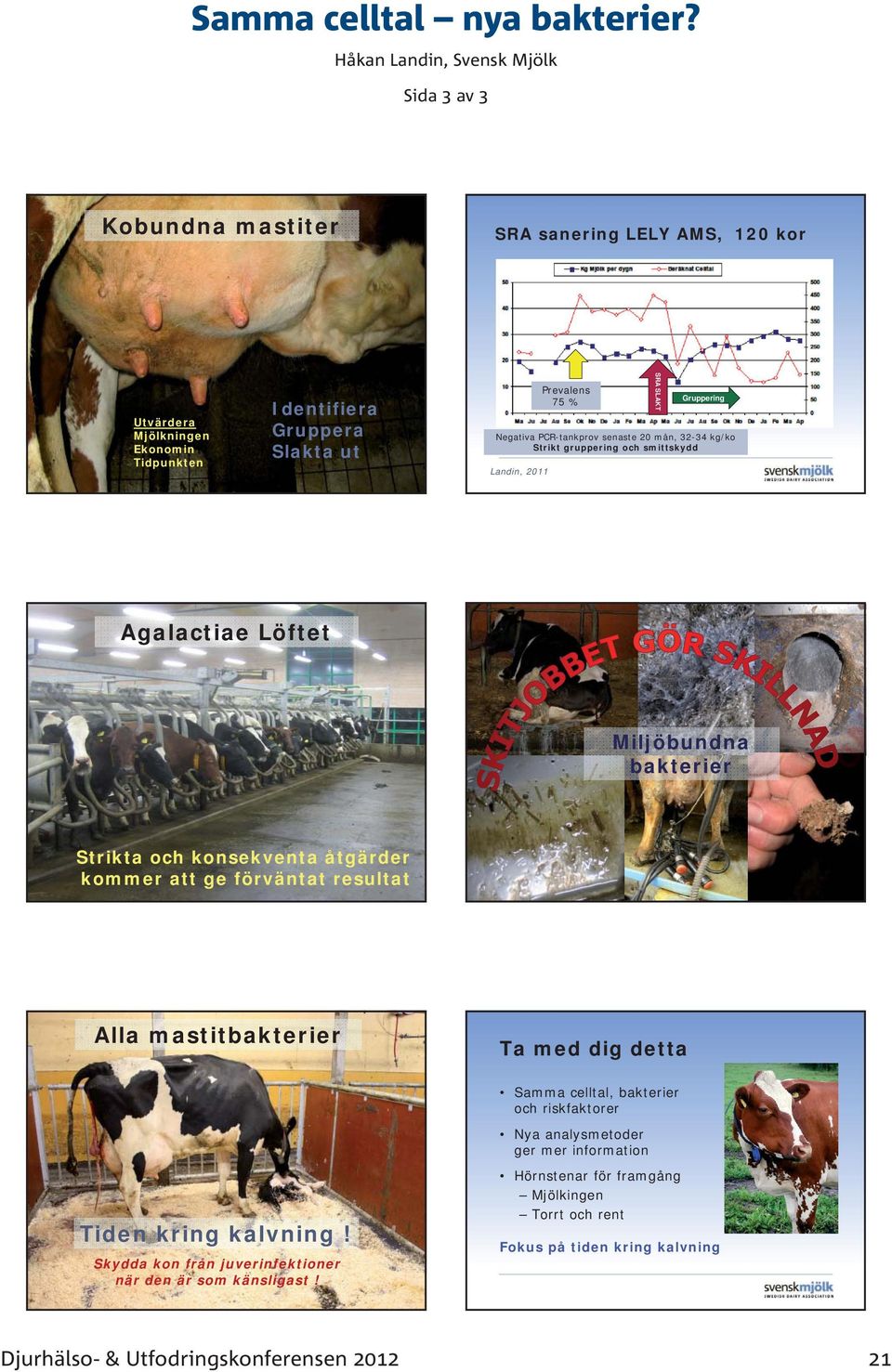 Gruppering Negativa PCR-tankprov senaste 20 mån, 32-34 kg/ko Strikt gruppering och smittskydd Landin, 2011 SRA SLAKT Agalactiae Löftet Miljöbundna bakterier Strikta och