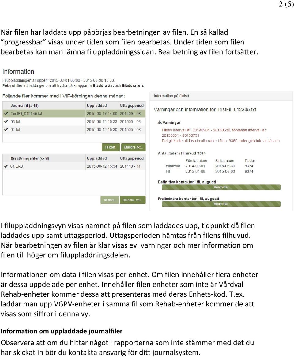 När bearbetningen av filen är klar visas ev. varningar och mer information om filen till höger om filuppladdningsdelen. Informationen om data i filen visas per enhet.