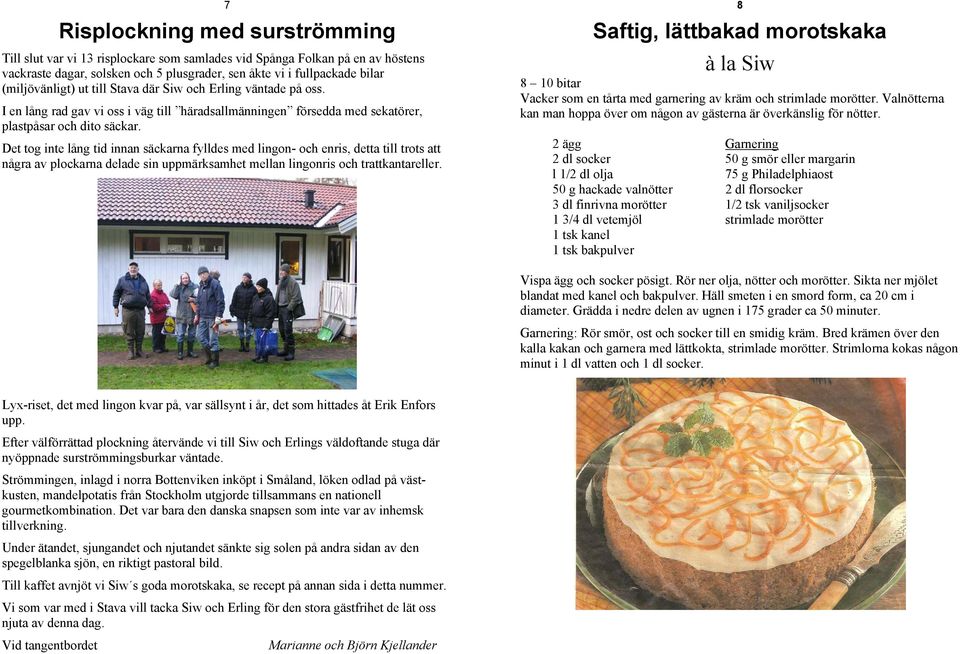 Det tog inte lång tid innan säckarna fylldes med lingon- och enris, detta till trots att några av plockarna delade sin uppmärksamhet mellan lingonris och trattkantareller.