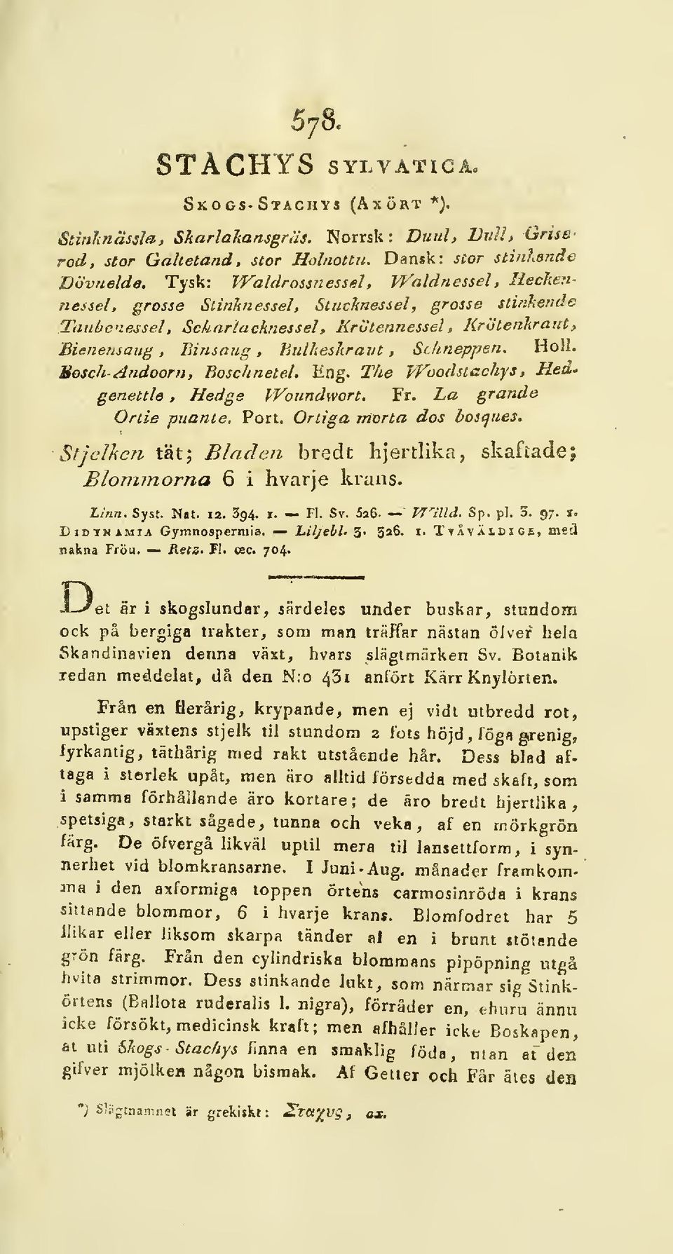 lineppen. HoH. Bosch- Andoorii, Boschnetel. Eng. Tke Woodsiachys > Rea.- geneltle, Hedge PVoundwort. Fr. La grande Onie pitance. Port. Oniga mnrta dos boitjues.