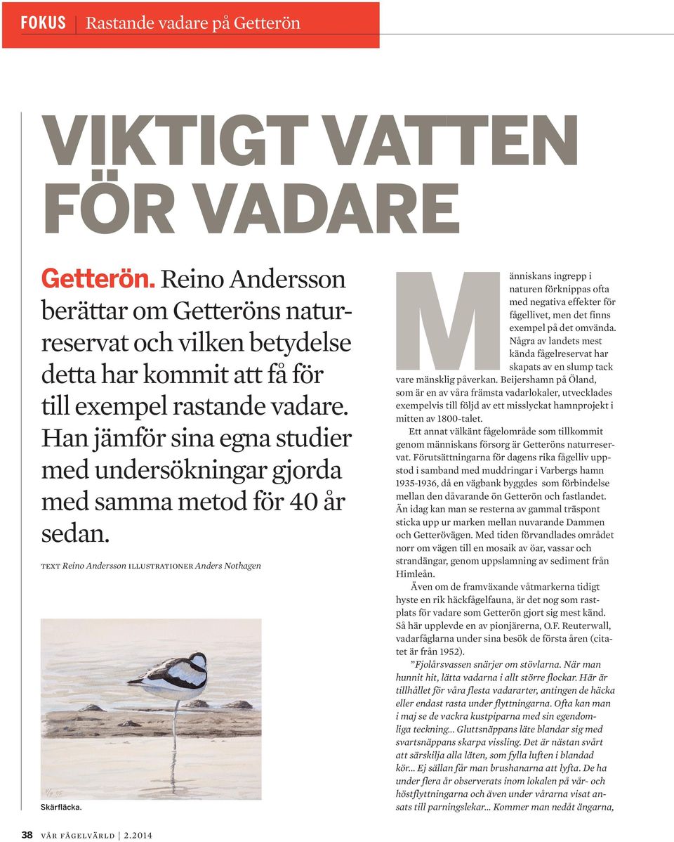 Människans ingrepp i naturen förknippas ofta med negativa effekter för fågellivet, men det finns exempel på det omvända.
