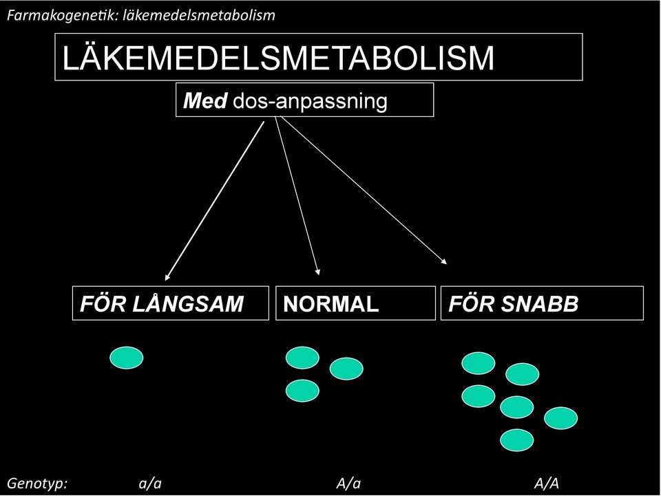 LÄKEMEDELSMETABOLISM Med