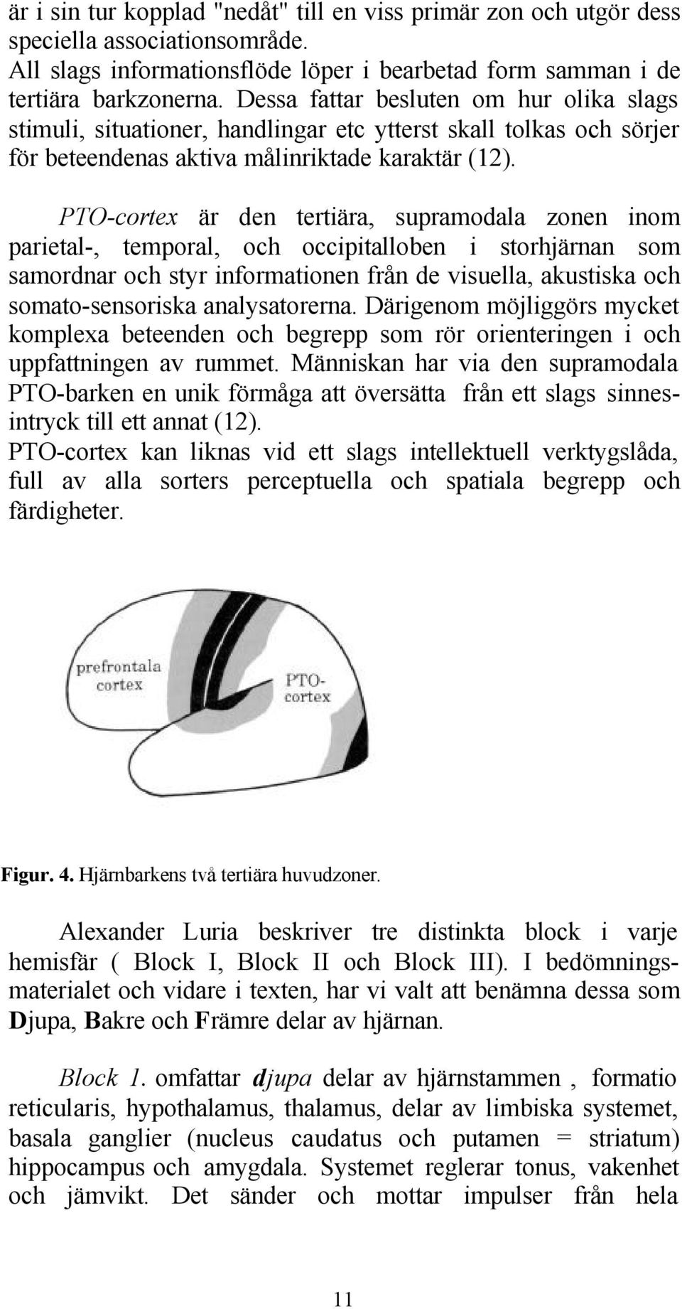 PTO-cortex är den tertiära, supramodala zonen inom parietal-, temporal, och occipitalloben i storhjärnan som samordnar och styr informationen från de visuella, akustiska och somato-sensoriska