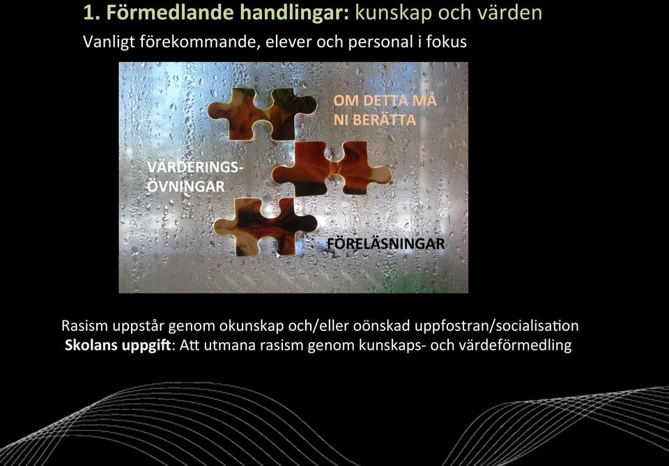 FÖRELÄSNINGAR Rasism uppstår genom okunskap och/eller oönskad