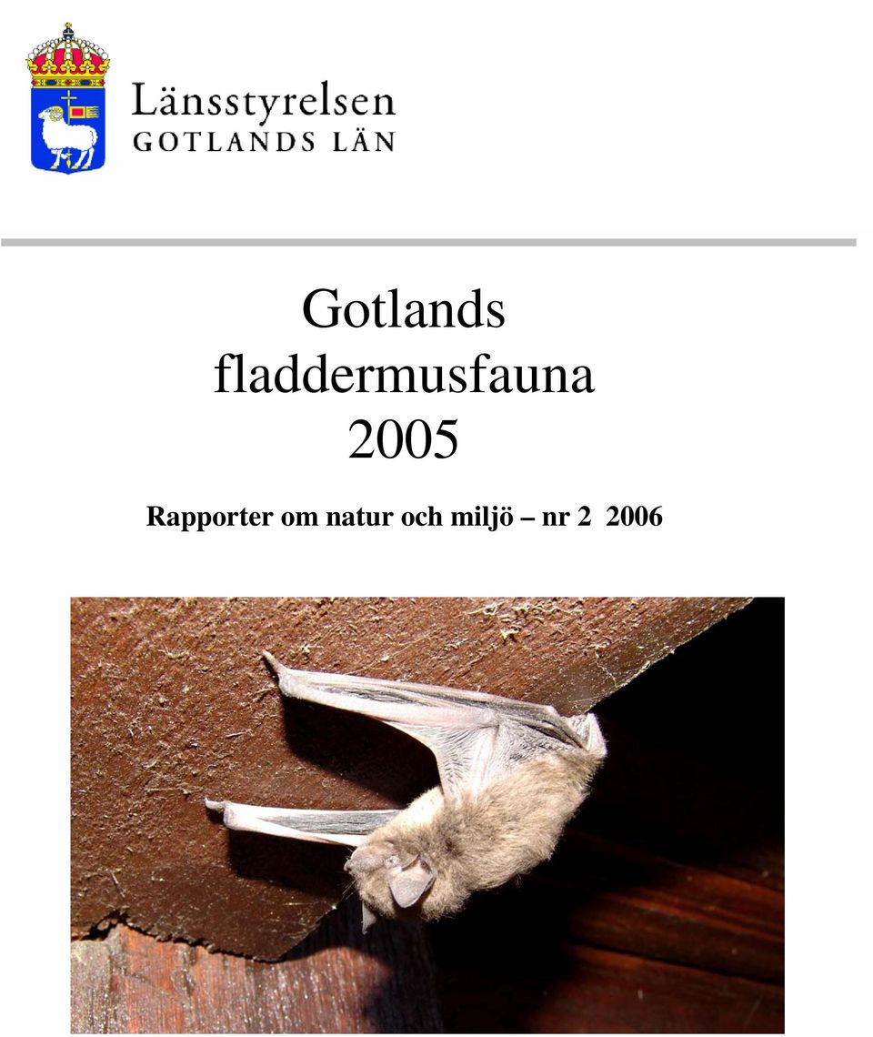 2005 Rapporter