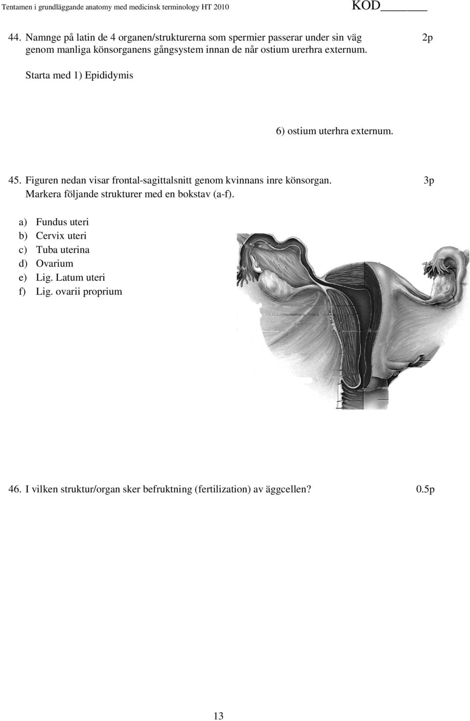 Figuren nedan visar frontal-sagittalsnitt genom kvinnans inre könsorgan. 3p Markera följande strukturer med en bokstav (a-f).