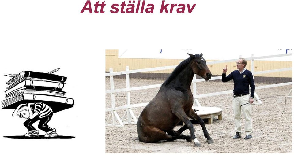 krav
