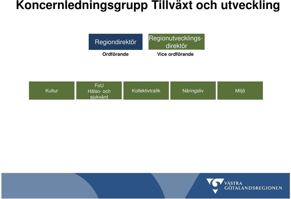 Regionutvecklingsdirektör Vice ordförande