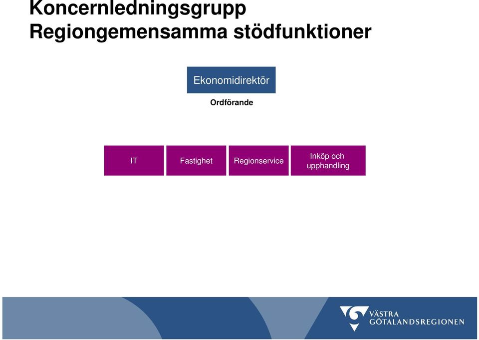 Ekonomidirektör Ordförande IT